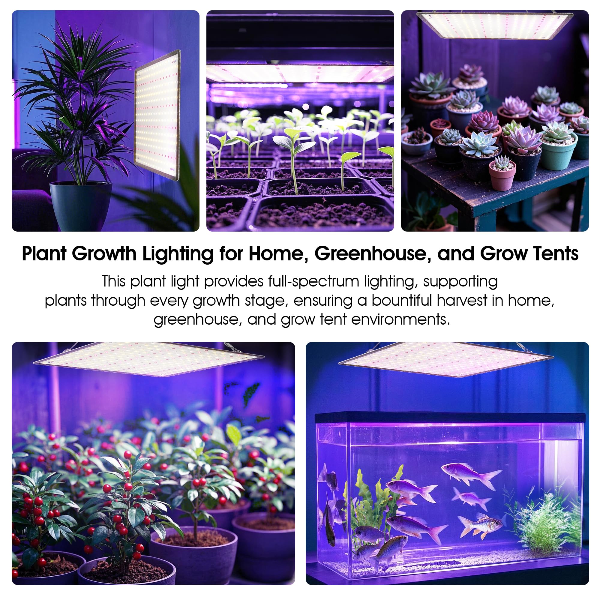 Uallhome lighting on seedlings demonstrating gentle low-heat, close placement