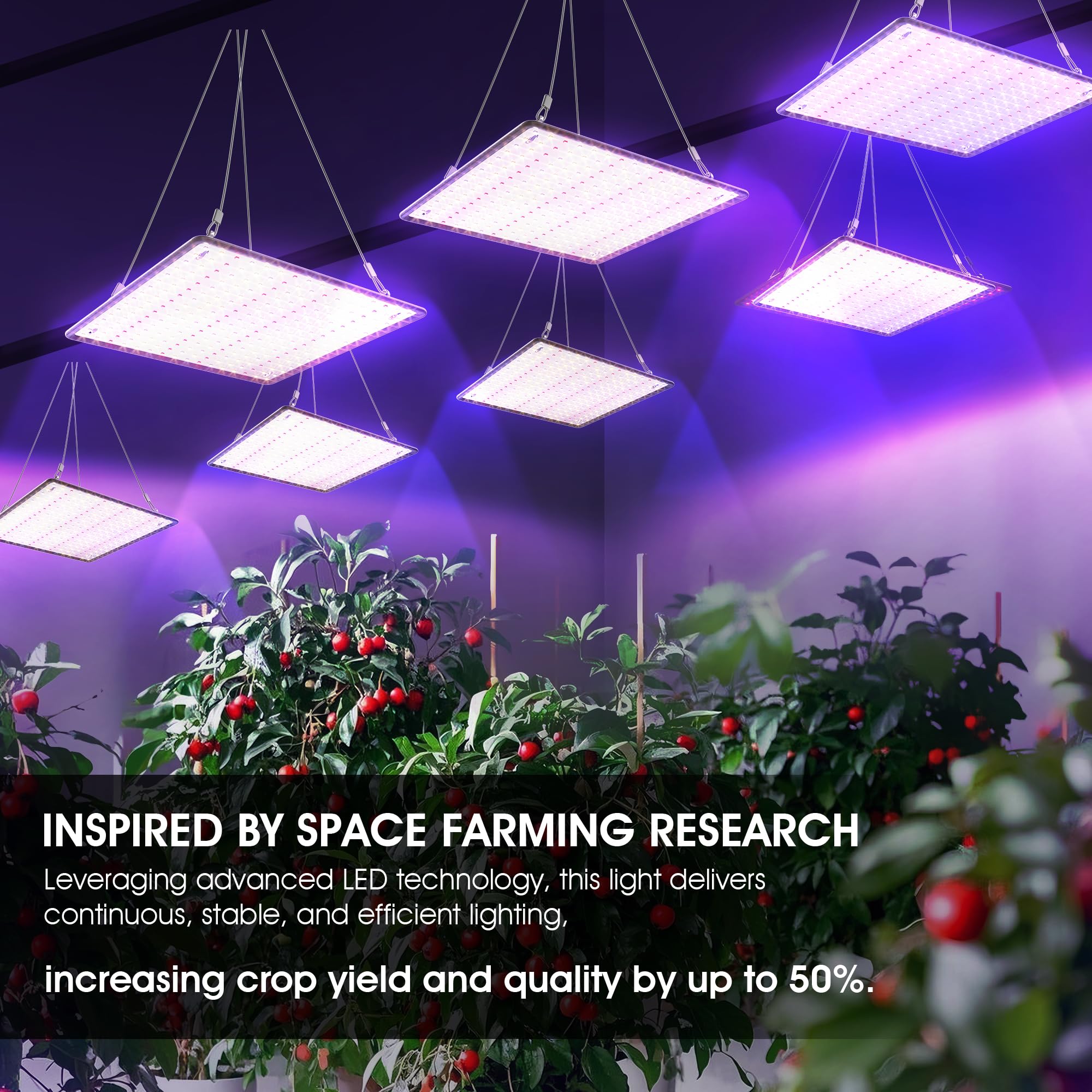 Uallhome spectrum label showing full-spectrum balance for veg and bloom