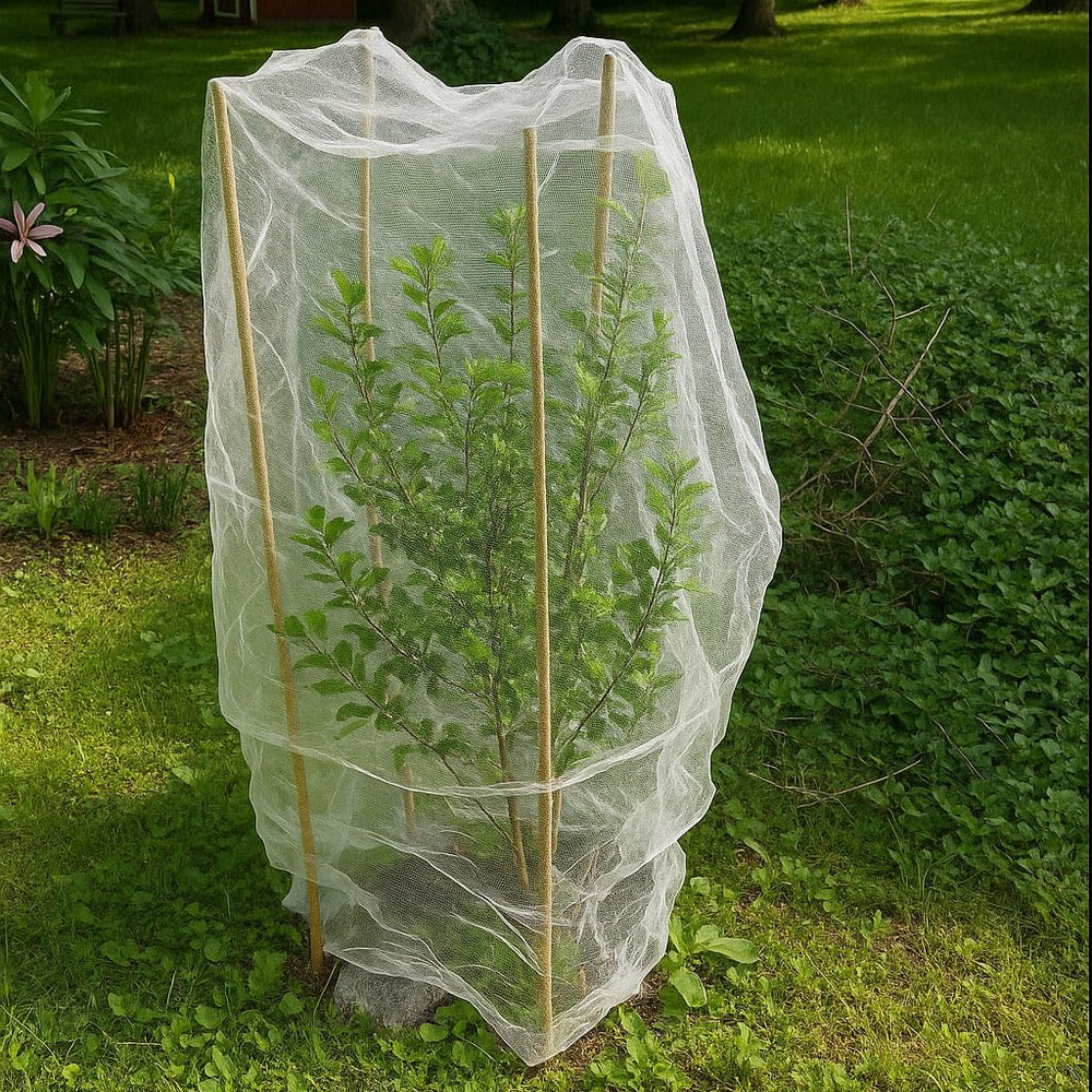UB-STORE net fitted on tomato plant giving breathable pest protection