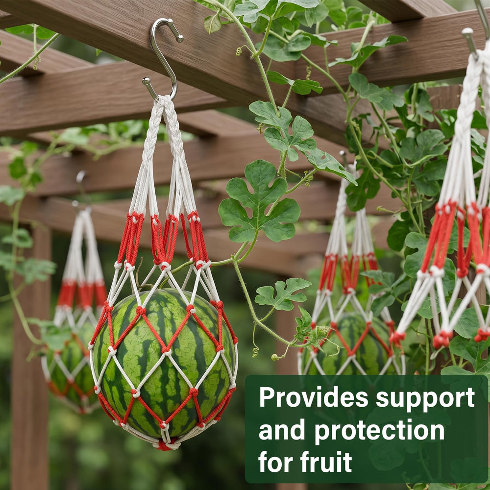 UCandy hammock in garden supporting vine-grown fruit to prevent ground contact and rot