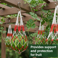 UCandy hammock in garden supporting vine-grown fruit to prevent ground contact and rot