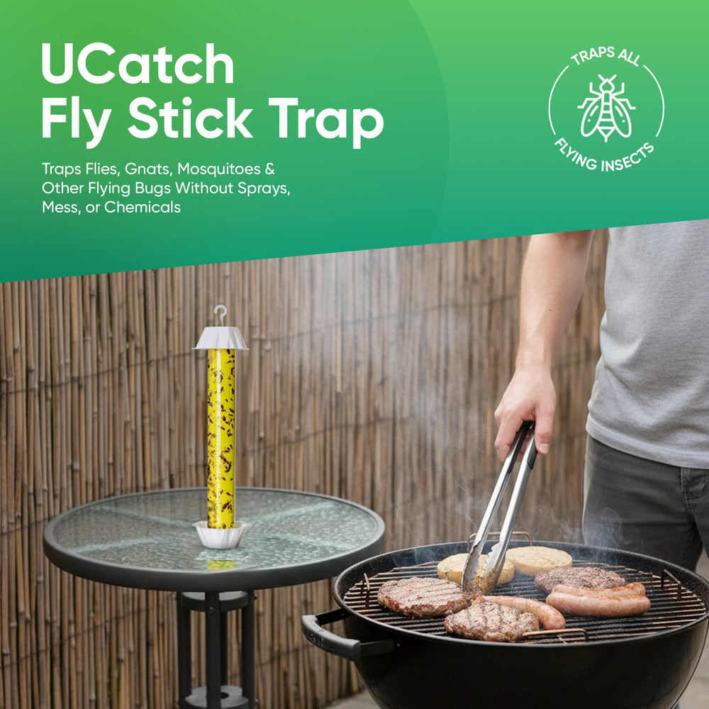 UCatch tray with honey attractant illustrating increased catch rates