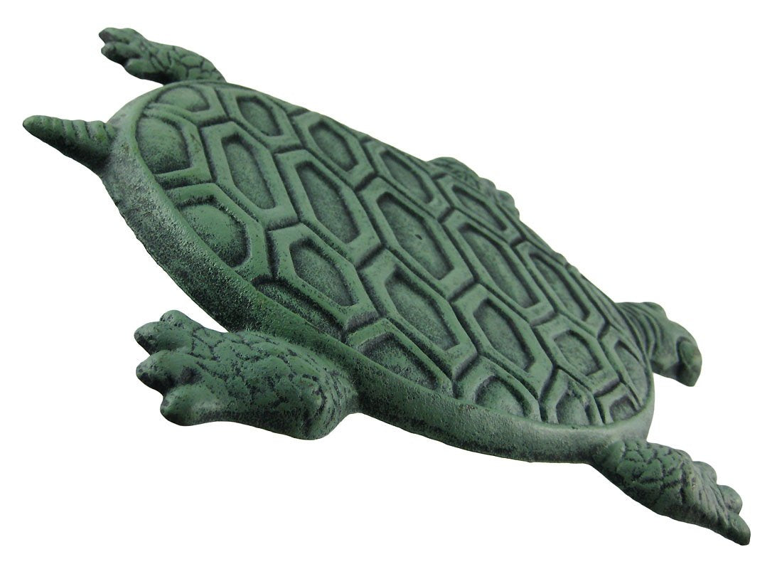 UD turtle shell close-up highlighting cast-iron texture and patina for visual depth