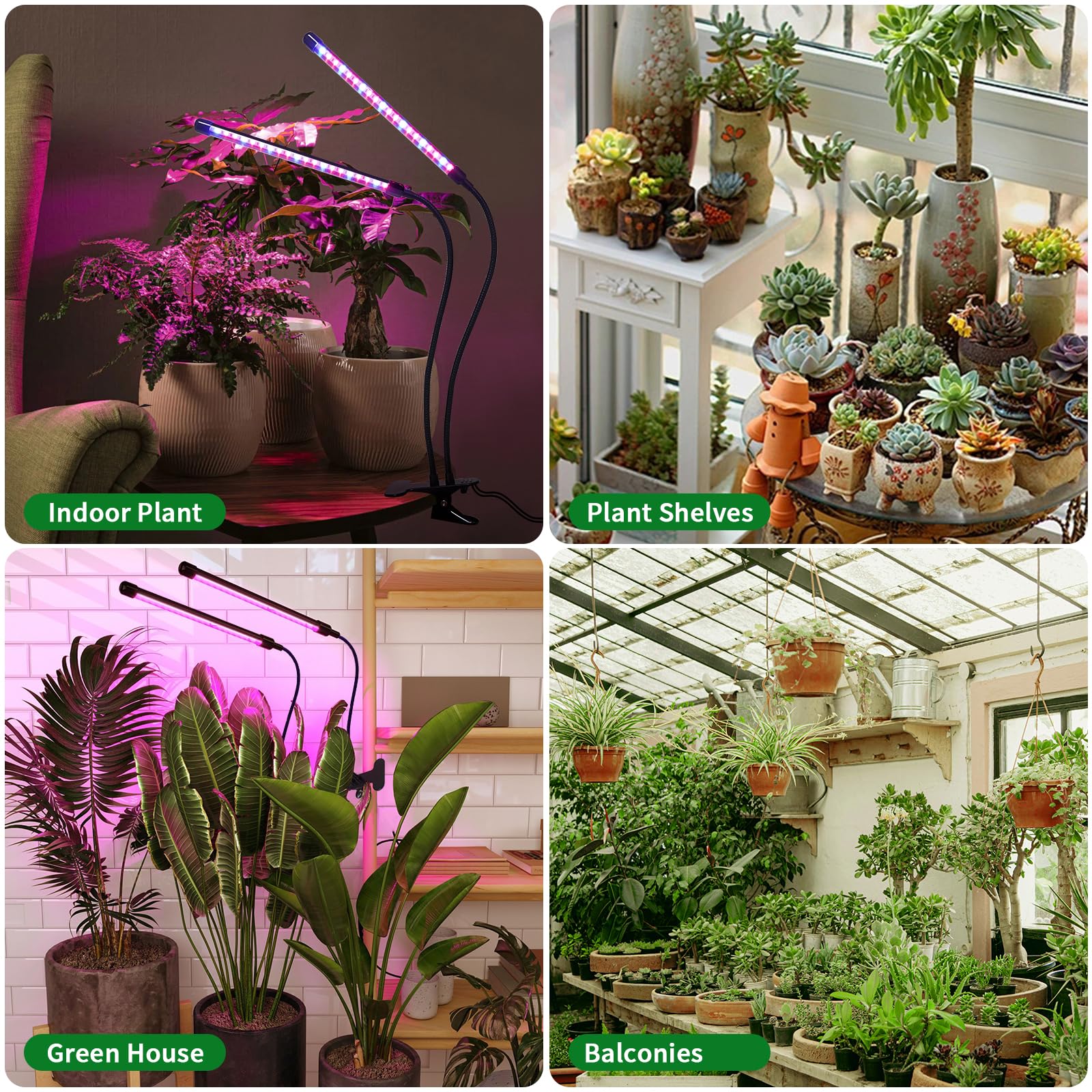 Ufelizor lighting plants at night, illustrating battery-run day to night automatic use