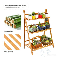 Ufine bamboo stand styled with potted plants for attractive display benefit