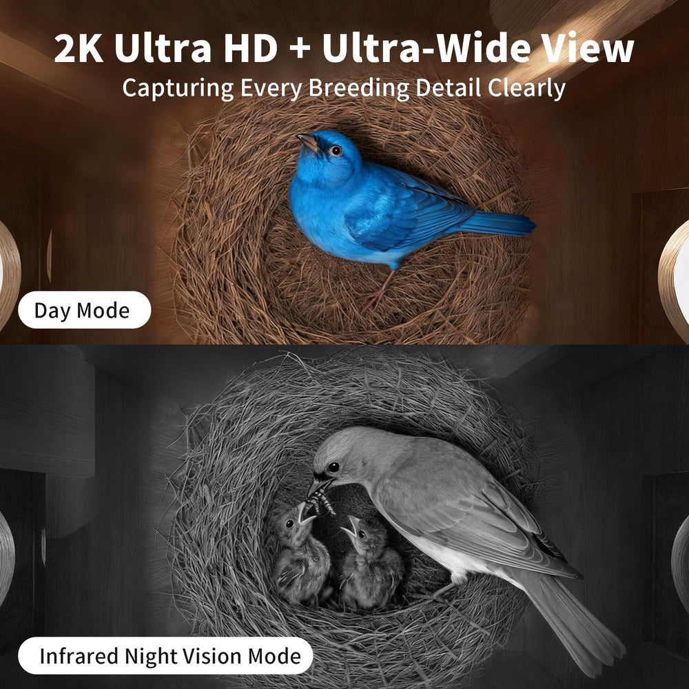UIOOQ camera module inside nest capturing clear footage without disturbing birds