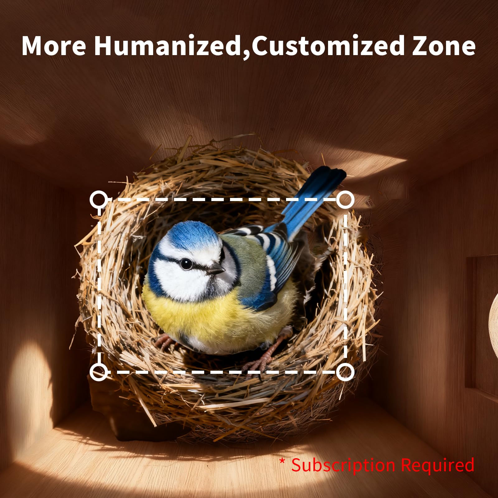 UIOOQ live birds in nest demonstrating safe, functional habitat for family viewing