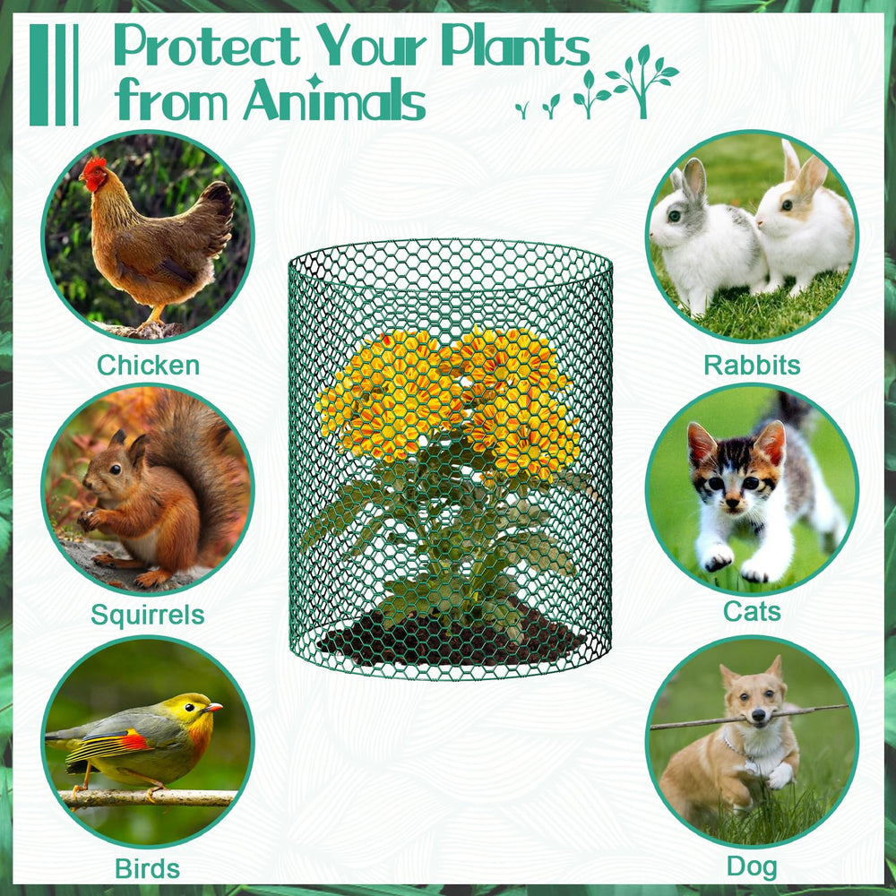 UJG assembled plant cage around a young seedling providing chew protection and airflow