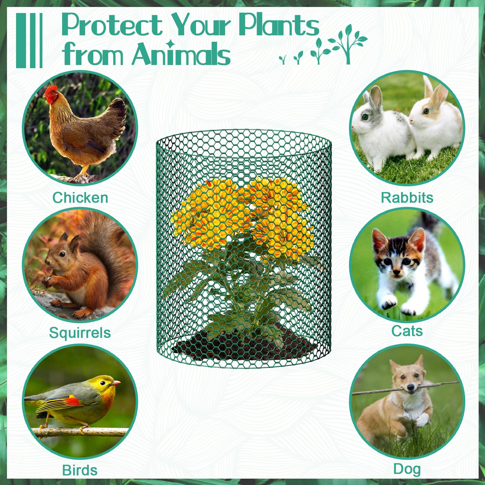 UJG plant cage around seedling in garden demonstrating animal protection