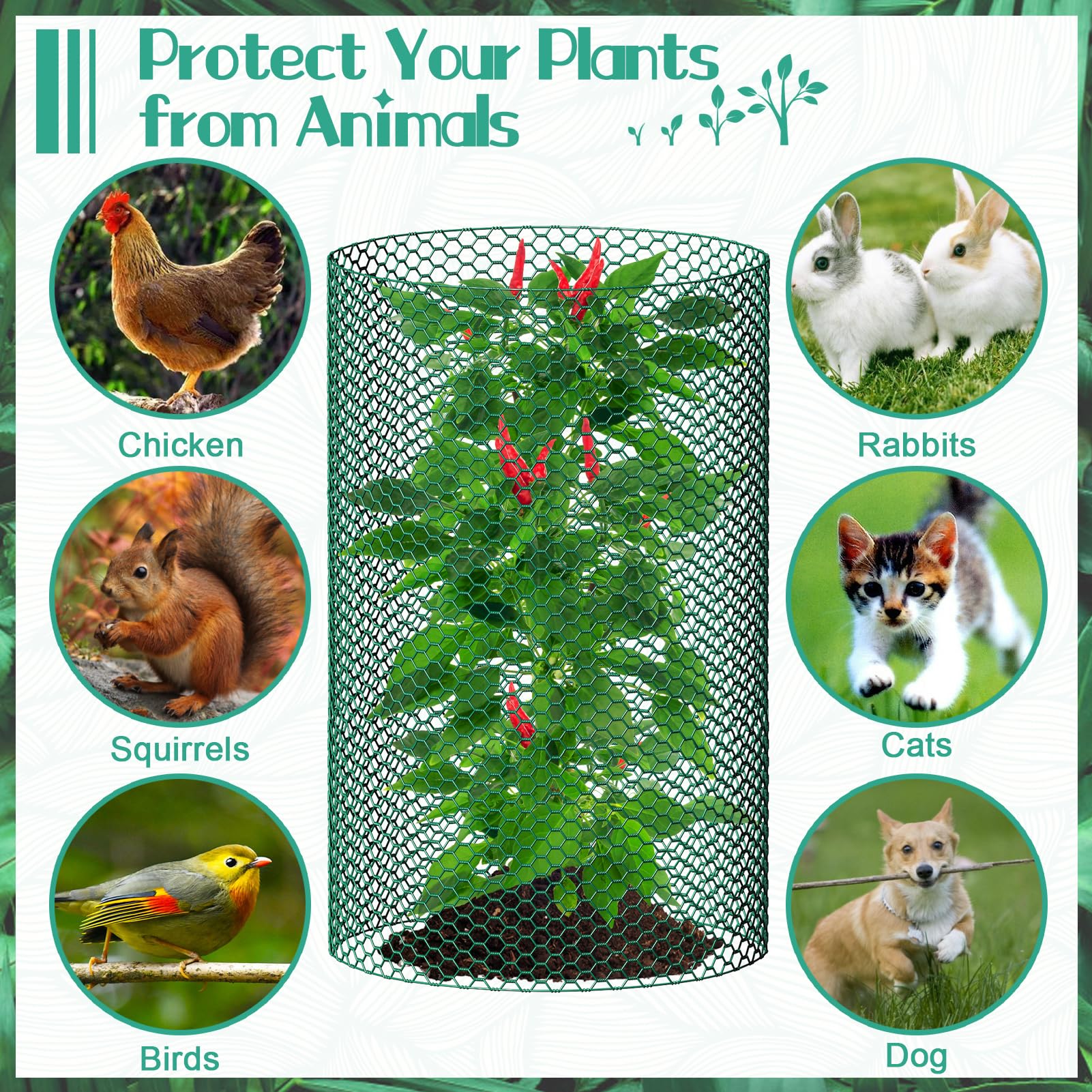 UJG wire panel wrapped around seedling providing physical pest protection