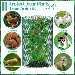 UJG wire panel wrapped around seedling providing physical pest protection