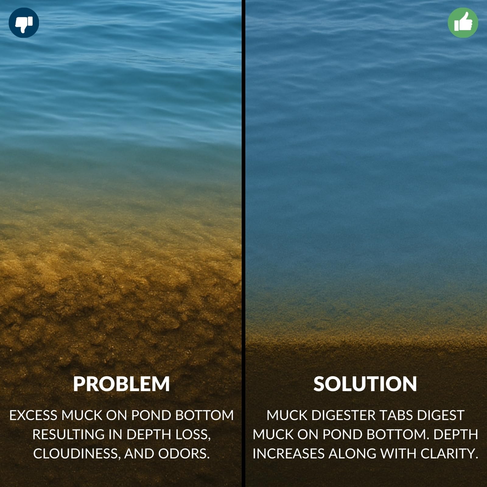 UltraClear treated pond before and after showing clearer water benefit