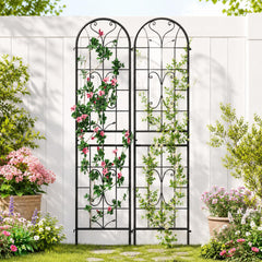 Ultym front view of two arched trellises adding vertical garden support