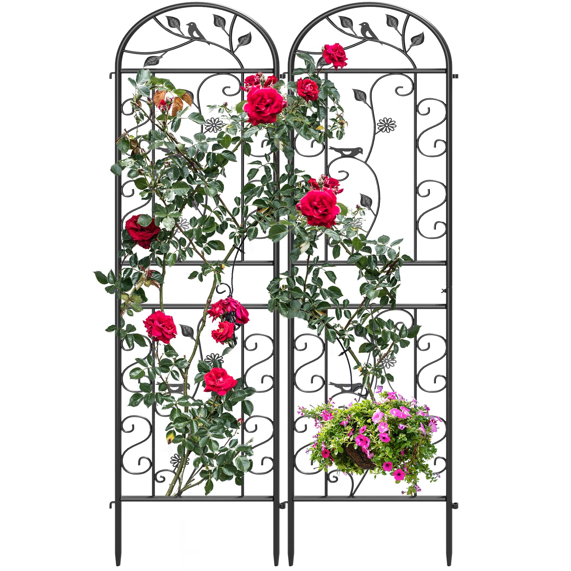 Ultym two arched trellises front view enhancing vertical planting