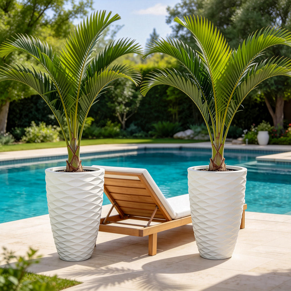 Ultym packaged planters illustrating gift-ready presentation and quality