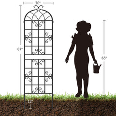 Ultym trellis with climbing ivy demonstrating vertical growth and space saving