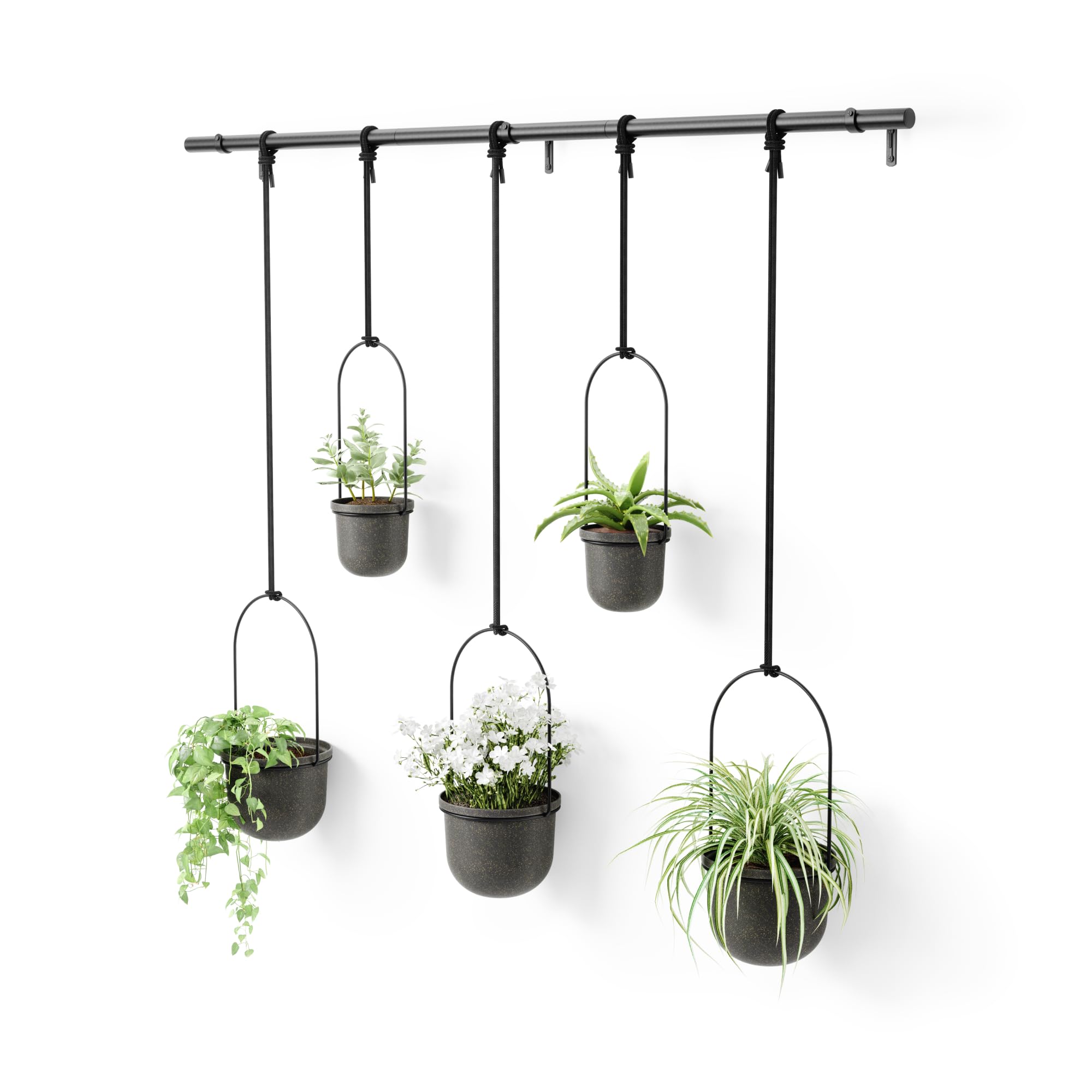Umbra Triflora front view mounted in window showing five planters and space-saving benefit