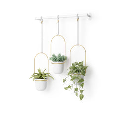 Umbra Triflora front view showing three white pots and brass rod for space-saving display