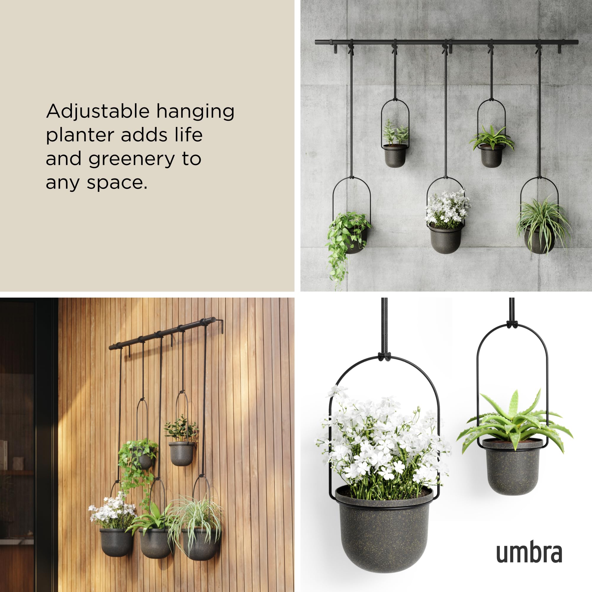 Umbra Triflora in kitchen lifestyle showcasing herbs within reach and cooking convenience