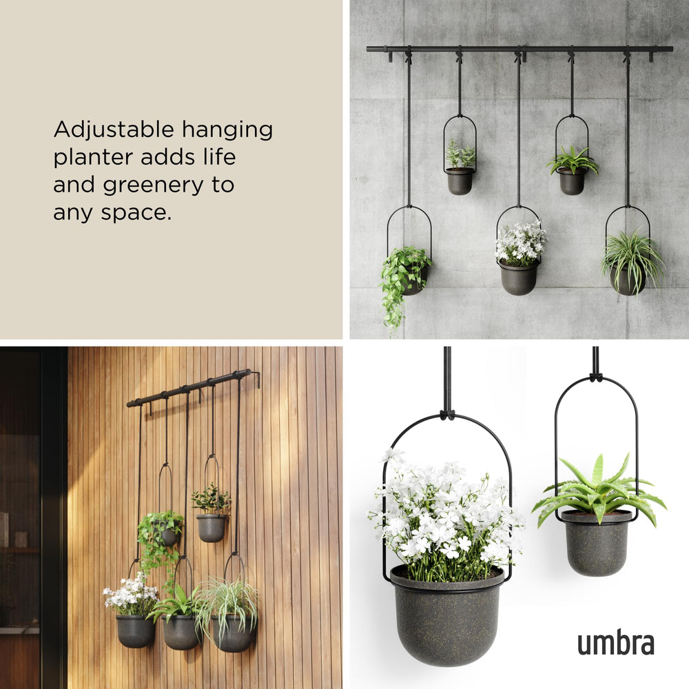 Umbra Triflora in kitchen lifestyle showcasing herbs within reach and cooking convenience