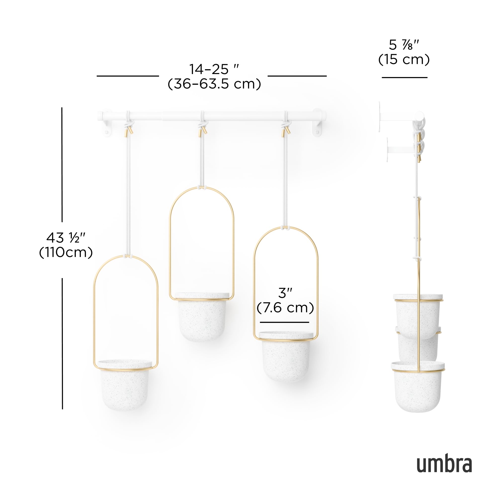 Umbra Triflora hanging in a sunny window, Umbra brings herbs and greenery without clutter