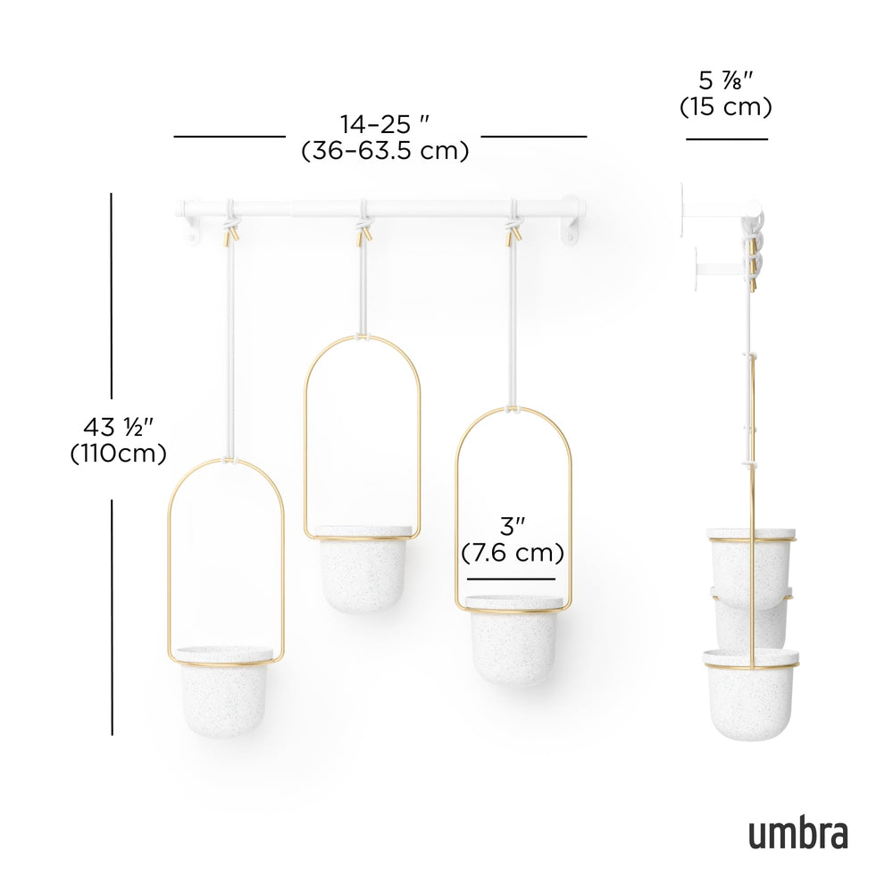 Umbra Triflora hanging in a sunny window, Umbra brings herbs and greenery without clutter