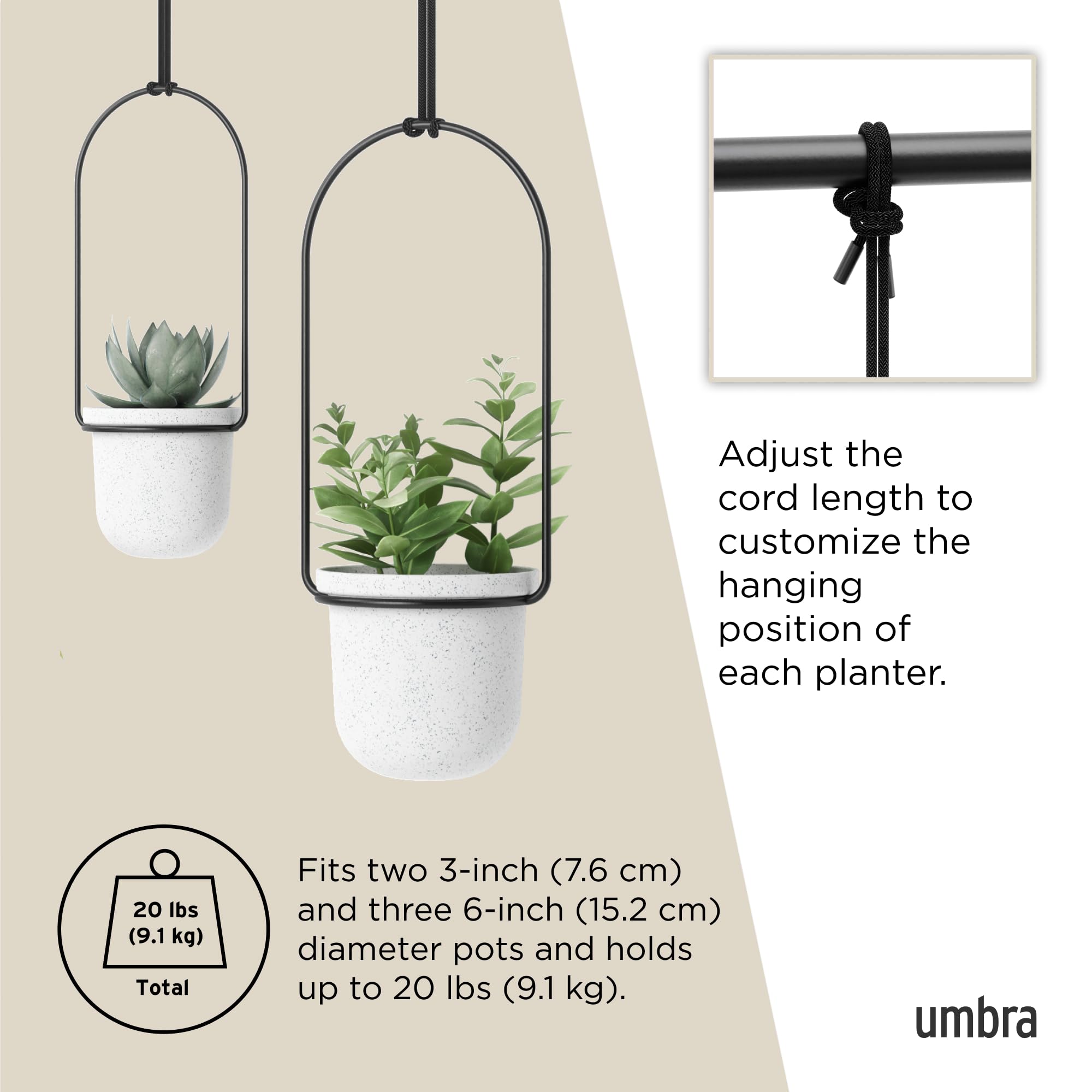 Umbra Triflora next to household items for scale showing true size benefit