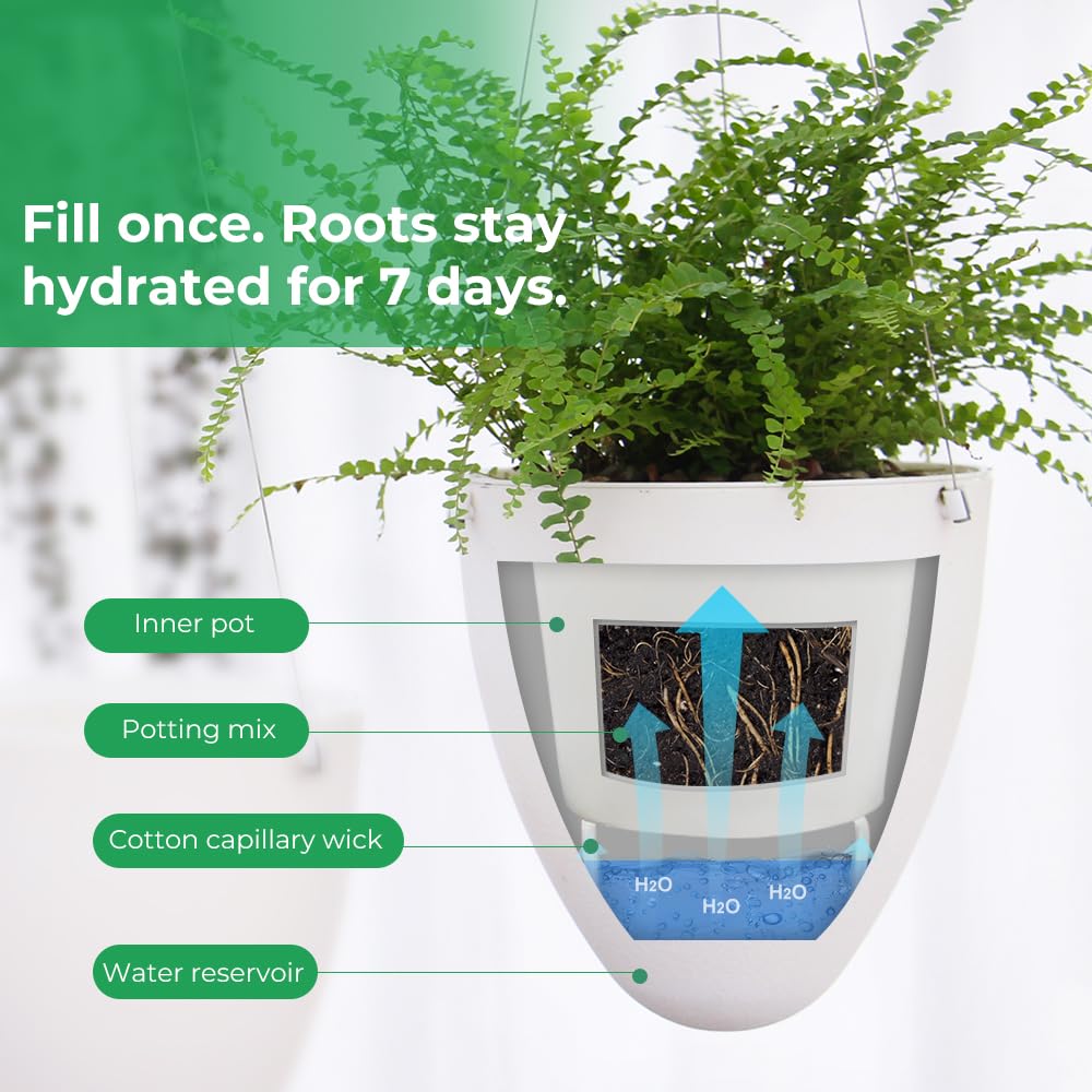 UNDUXE stainless steel wire hanger nearly invisible to create a floating plant effect