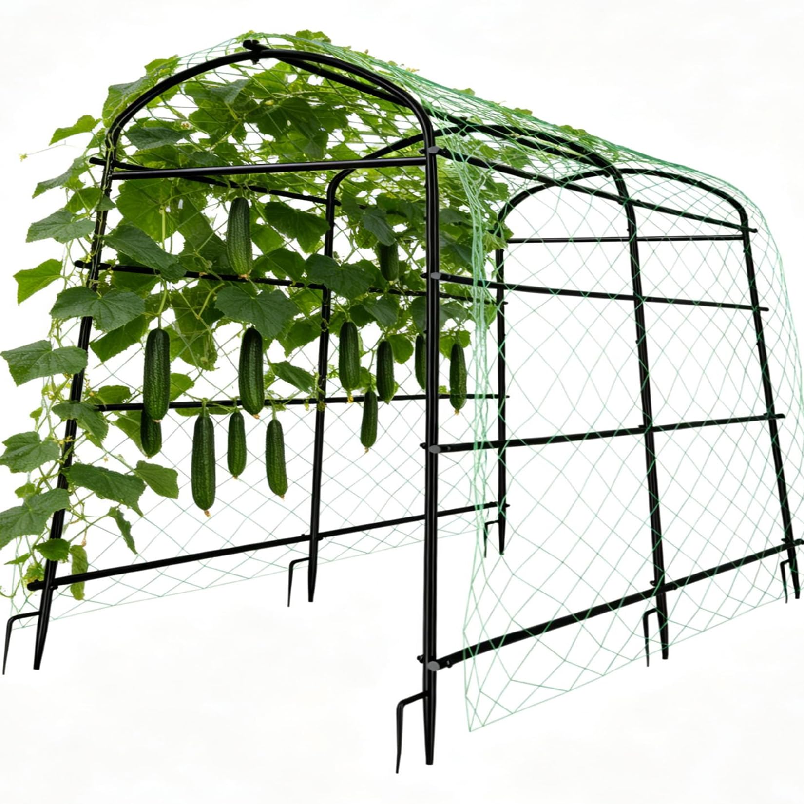 unho arch front view showing full structure and plant support benefit