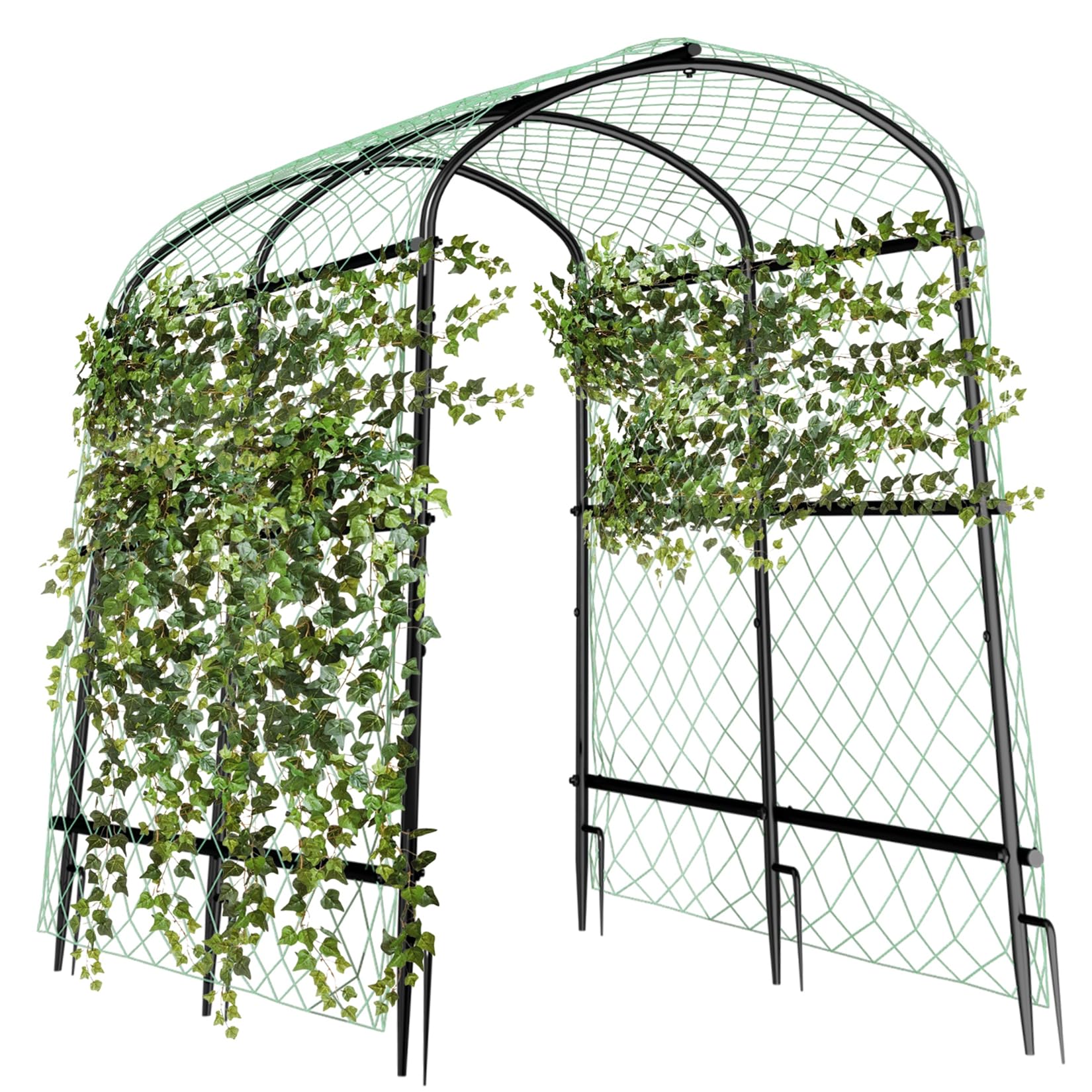 unho front view arch showing full 63inch height and elegant curve benefit support