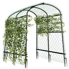 unho front view arch showing full 63inch height and elegant curve benefit support