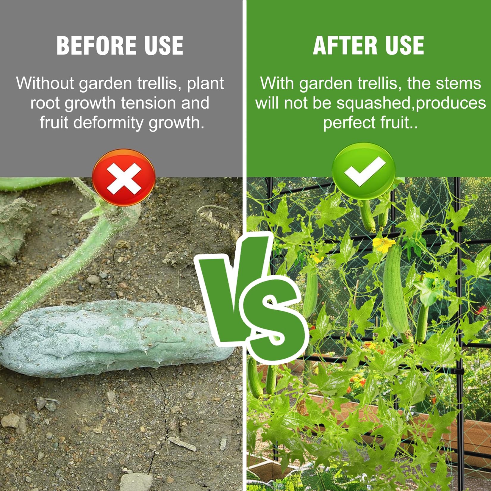unho arch supporting cucumbers showing improved airflow and harvest benefit