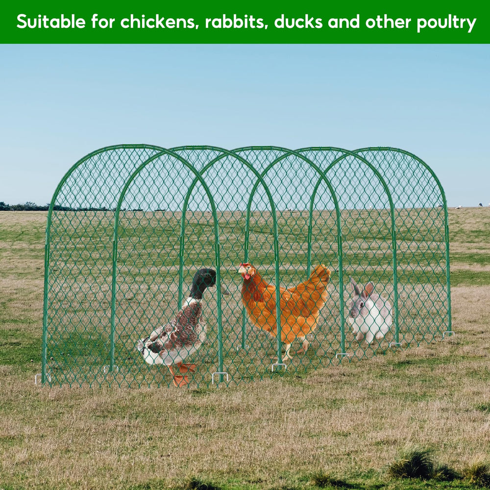 UNIFAMILY chickens inside tunnel enjoying safe foraging space