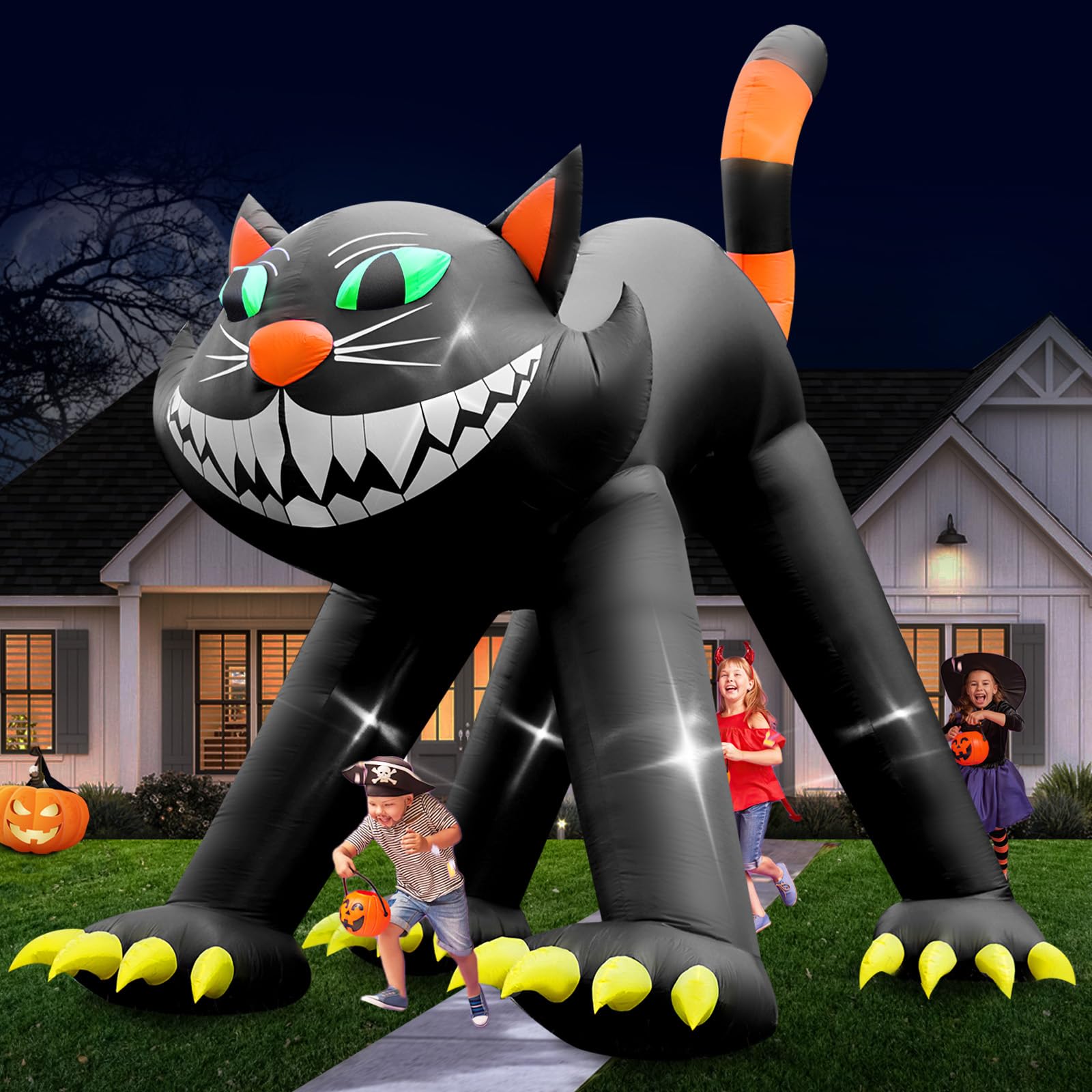 UniqSeason black cat front view showing full silhouette and curb appeal