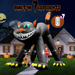 UniqSeason lit black cat at night showing bright LED visibility