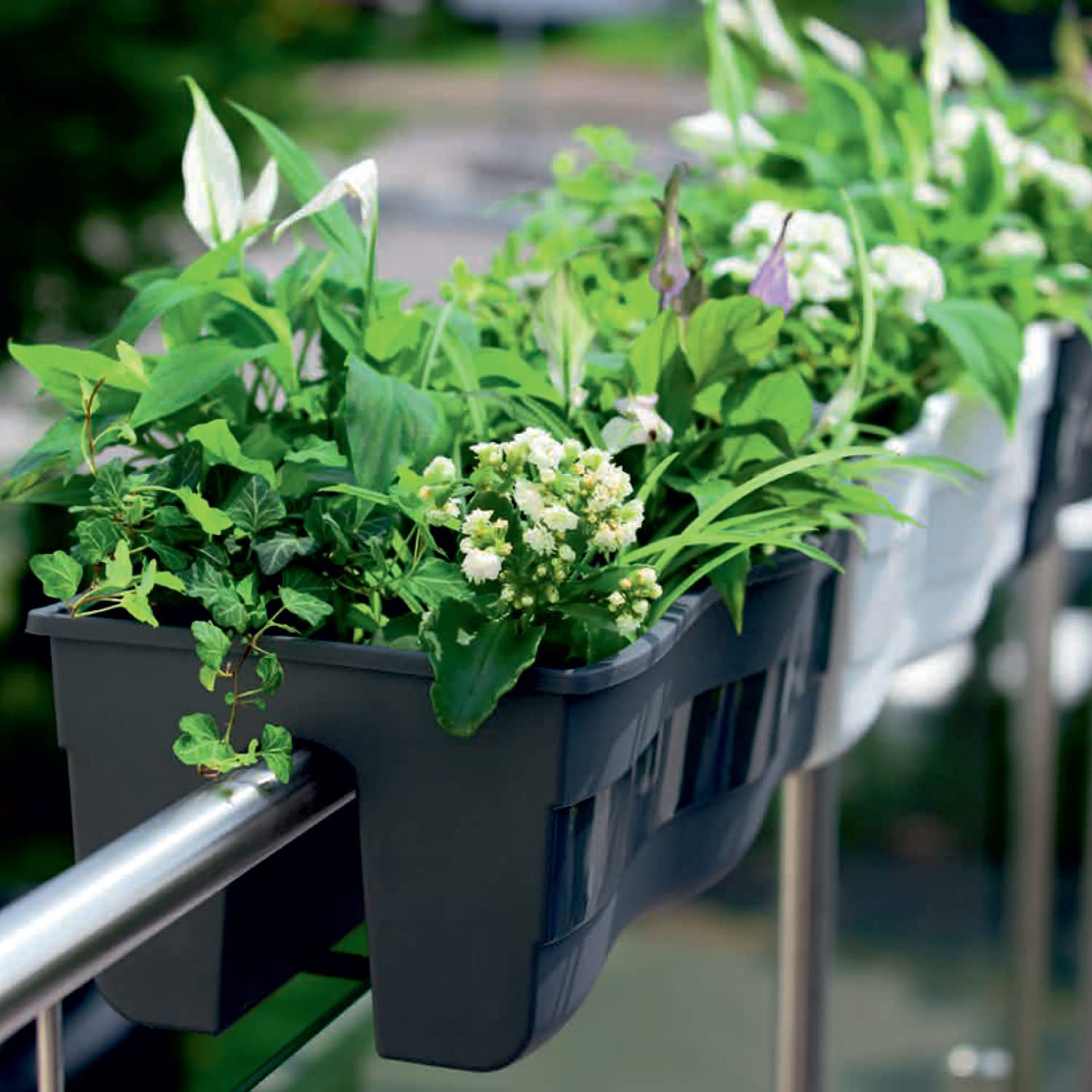 United Frames placed on indoor windowsill showing tidy indoor gardening solution
