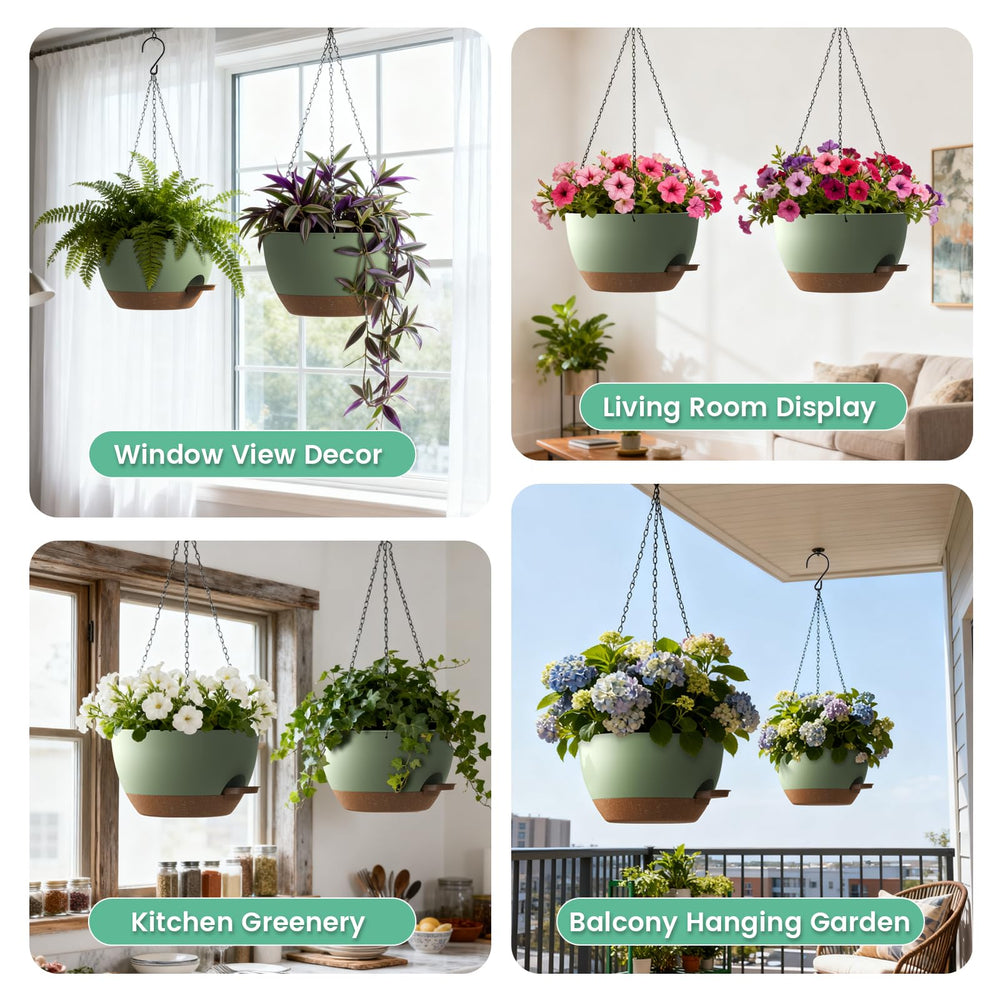 UOUZ planter hung in window with trailing pothos showing space-saving plant display benefit