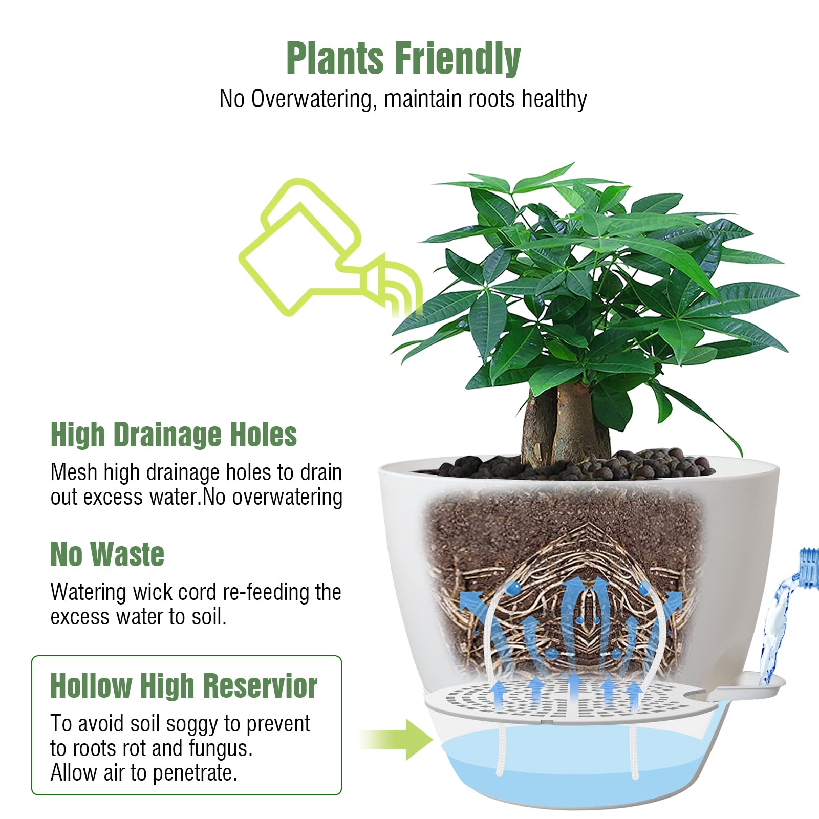 UOUZ reservoir and removable feeder open to show easy bottom-watering convenience