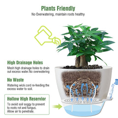 UOUZ reservoir and removable feeder open to show easy bottom-watering convenience