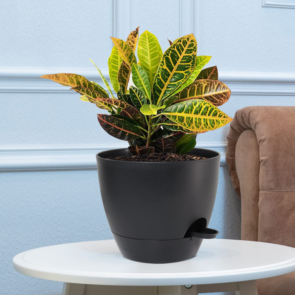 UOUZ planter held by hand for scale showing lightweight handling benefit