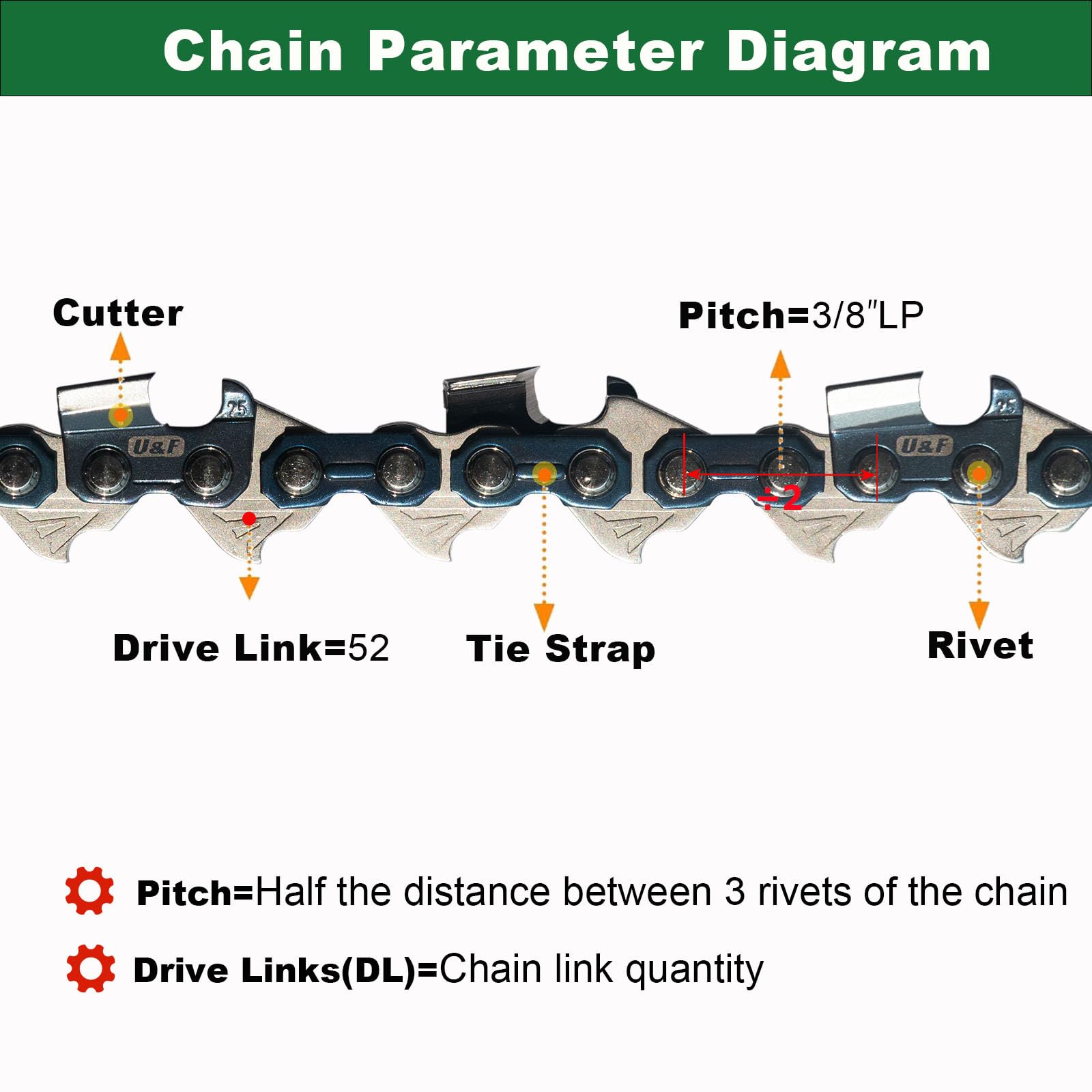 UPFOREST chain beside a ruler showing 14-inch scale for correct sizing