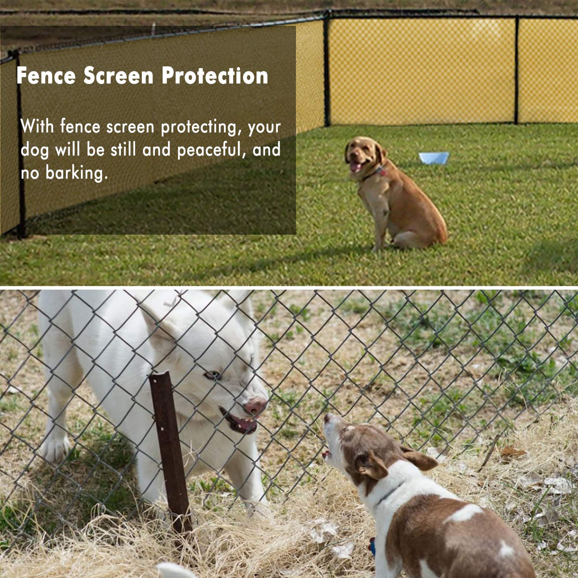 UPGRADE privacy screen next to person showing scale and coverage for fences
