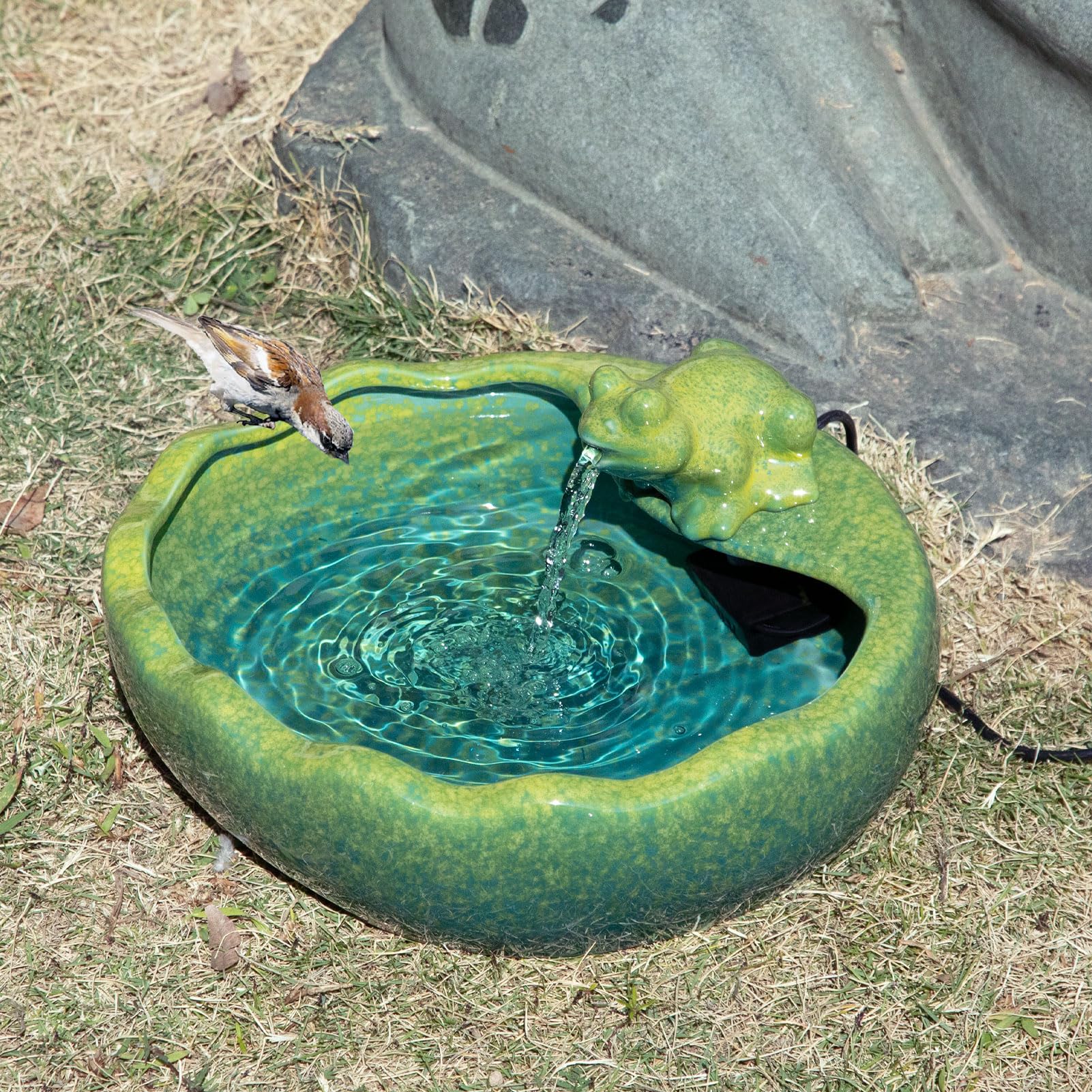 UPSJYJ close-up of lifelike frog accent highlighting decorative detail and charm
