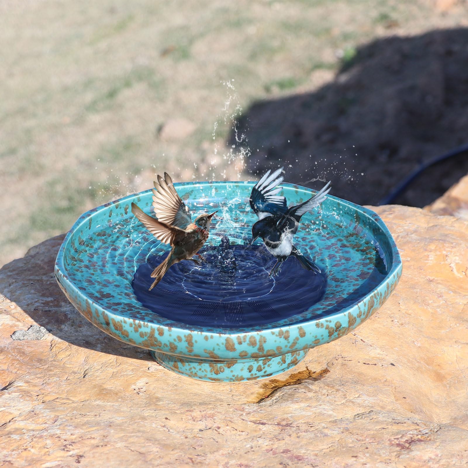 UPSJYJ bird bath next to ruler showing compact size and scale advantage