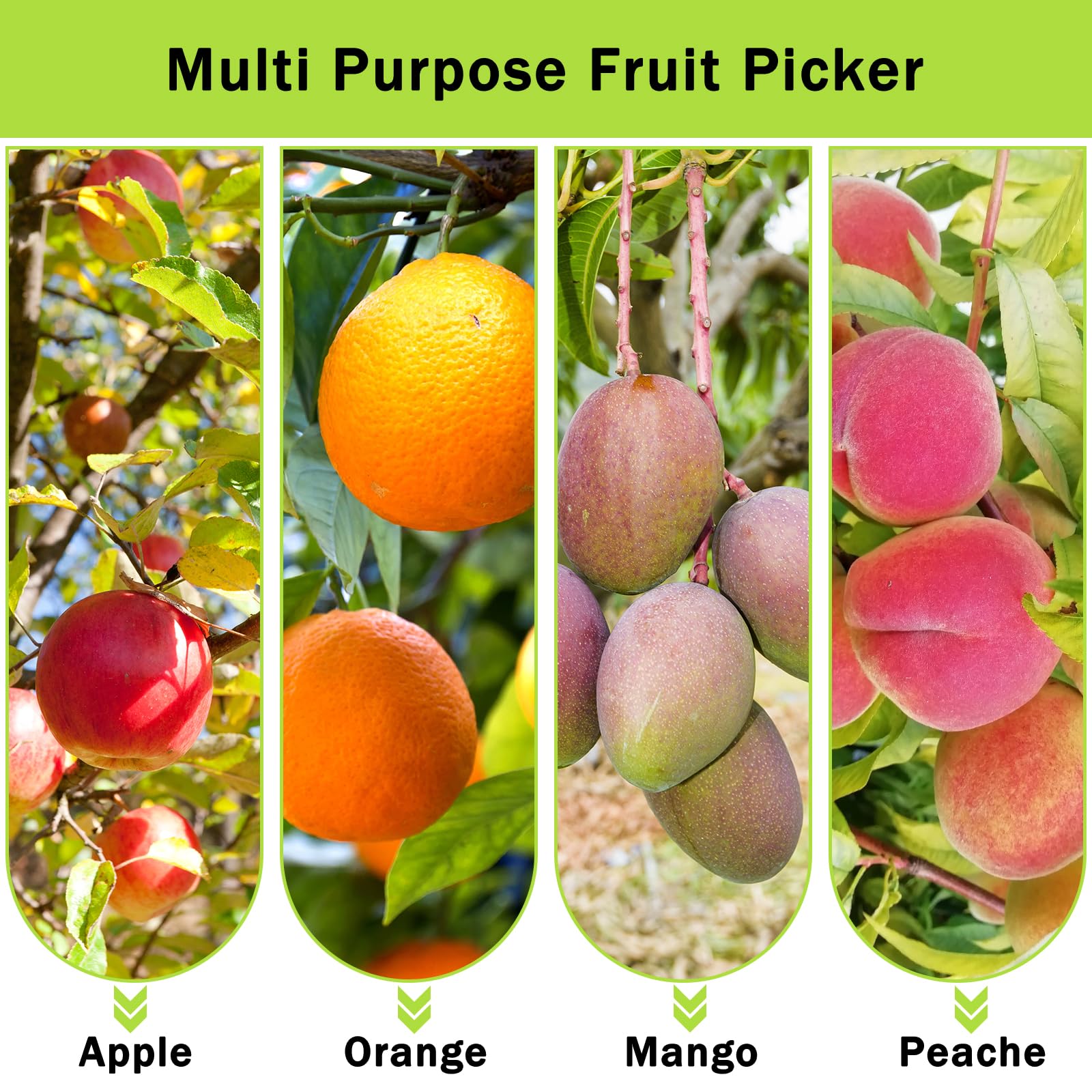 UQM lifestyle garden harvest scene illustrating faster, safer picking