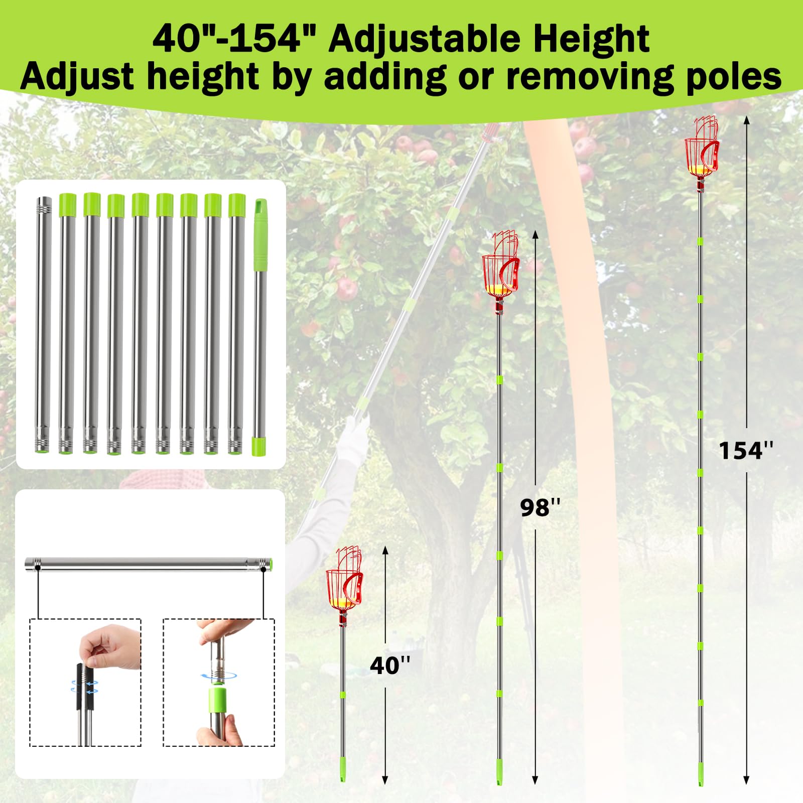 UQM pole fully extended in use reaching high fruit safely