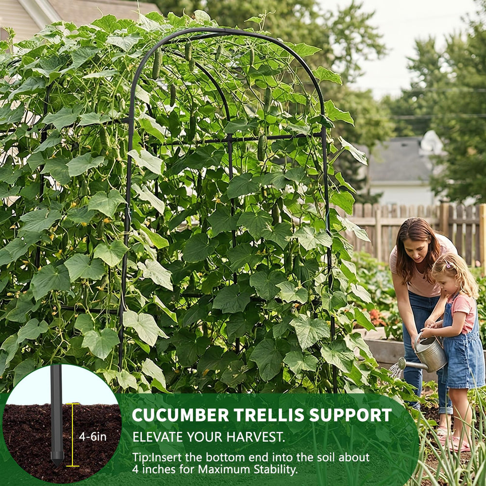 UrGROWA arch next to a person illustrating 83-inch height and scale benefit