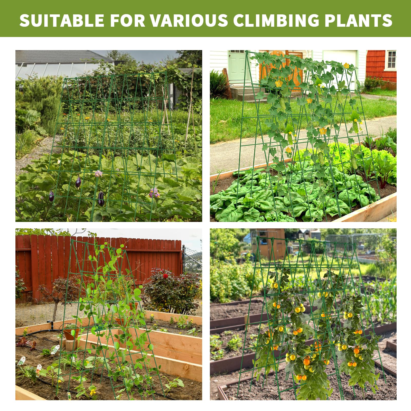 UrGROWA cucumbers and squash supported on trellis for easier harvest