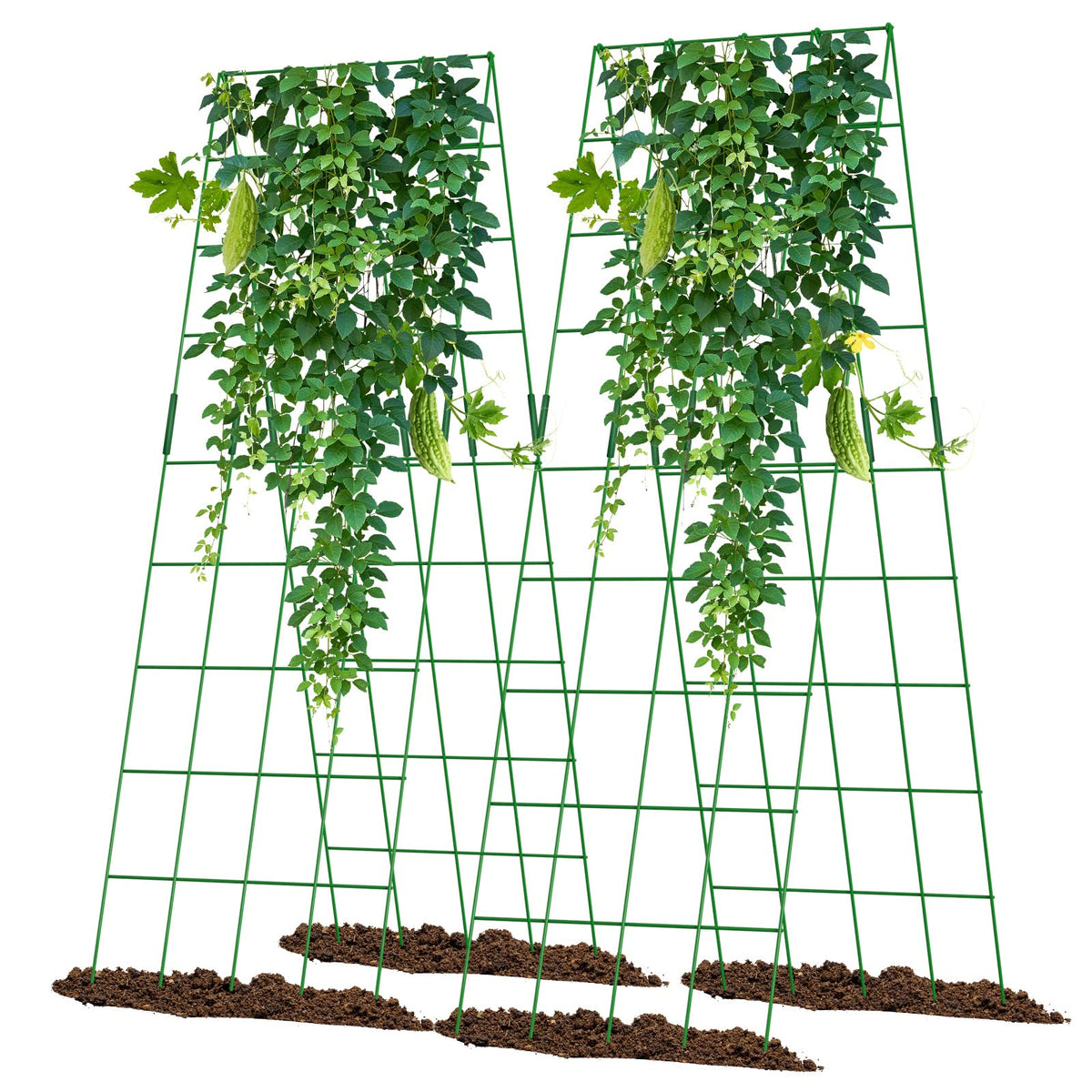 UrGROWA trellis front view showing sturdy A-frame and vine support benefits