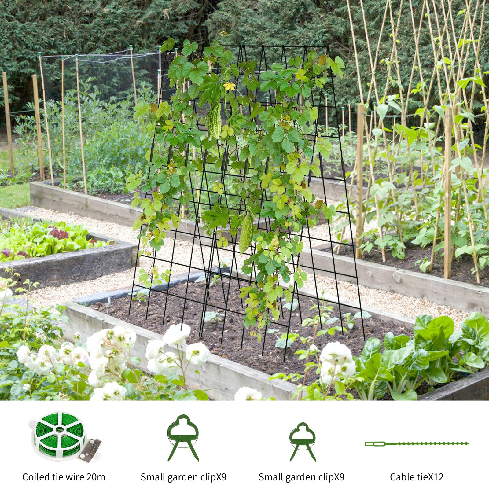 UrGROWA trellis installed with cucumbers climbing, improves harvest cleanliness